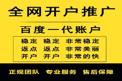 知名SEM服务公司成功案例分享